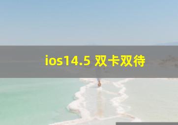 ios14.5 双卡双待